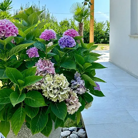 Palma-1 By Interhome