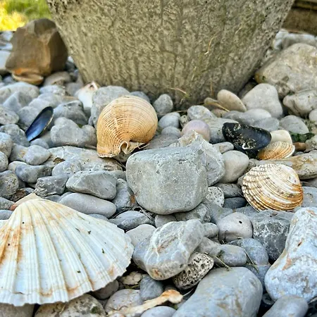 Palma-1 By Interhome Διαμέρισμα *